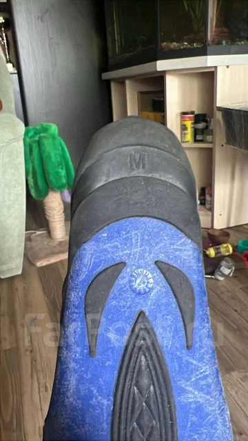 �����. ����