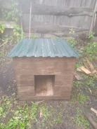 �����. ����