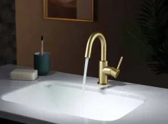 ���������. ����