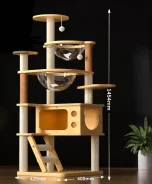 ������. ��� ����� �� ������������ ����