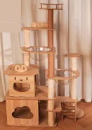 ������. ��� ����� �� ������������ ����