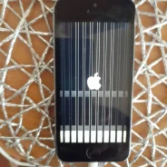 Apple iPhone 5s. �/�, 16 ��, ������, 4G LTE ����