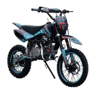 Regulmoto Seven Medalist. 140����. ��., ��������, ��� ���, ��� ������� ����