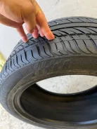 Evergreen. ������, 2023 ���, �/�, ����� 5 % ����