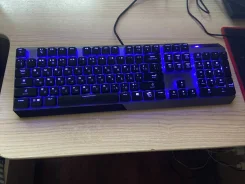 ����������. ����