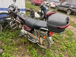 Irbis Virago. 50����. ��., ��������, ��� ���, ������ �� �� ����