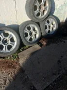 AGForged. x16" ����