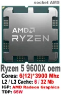 AMD Ryzen 5 9600X ����