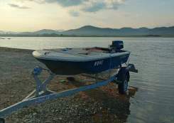 Yamaha Fish. 2000 ���, ����� 4,2��., ��������� ���������, 30��.�., ������ ����