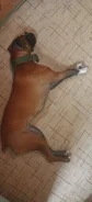 ������. ����