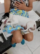������� �����-����������� ����-������ ������. ����