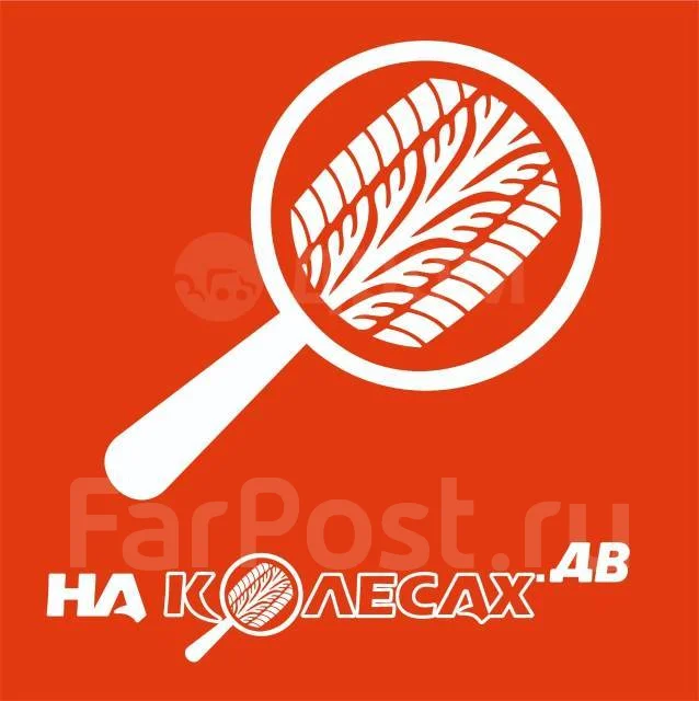 Triangle Effe X Sport TH202. ������, 2024 ���, ����� ����