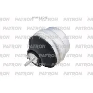����� ��������� ��� M8x1.25 Audi A4/A6 2.4-3.0, VW Passat 2.8 95- Patron PSE3154 PSE3154 ����