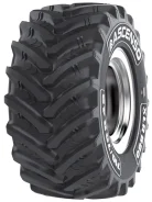 Ascenso XLR 880. ����� mt, �����. ��� ����� �� �������� ����
