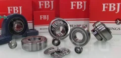 ��������� 1423 FBJ 6004-2RSC3 60042RSC3 ����