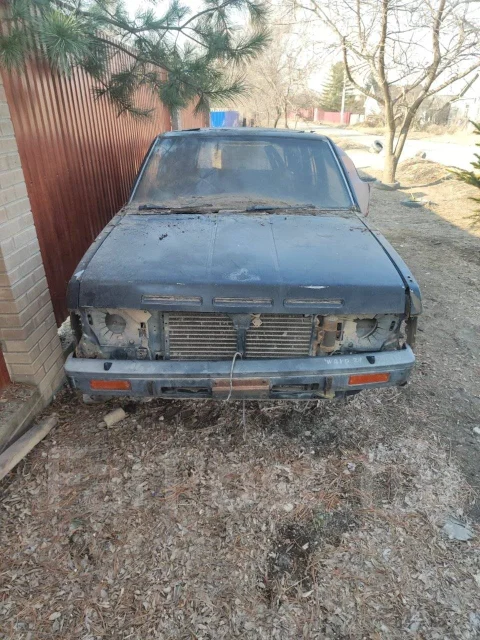 Nissan Terrano ����