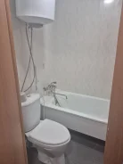 1-���������, ���������. ������, ���������, 30���.��., 1/2 ����, ������������ ������ ����