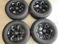 RAYS Team Daytona FDX F6