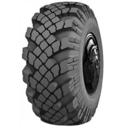 Forward Traction ��-�284