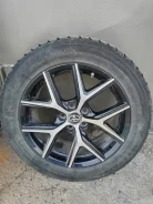 Evergreen IceTour i5. ������, ����������, 2022 ���, �/�, ����� 5 %. �������� ������� ����
