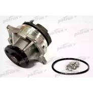 ����� ������� F-141 FORD Focus 1.8I/2.0I 16V (MOT. ZH18/ZH20) 98- Patron PWP1037 PWP1037 ����