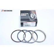 ������ ��������� SKR Engine PR1-881 SKR Engine PR1-881 PR1881 ����