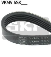 ������ ���������� Focus II (2005-2008) 5PK705 Elast [178Skfvkmv5SK705] VKMV5SK705 ����