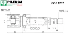 ���� ���������� | ����� ���� | Focus II [178Pilengacvp1257] CVP1257 ����