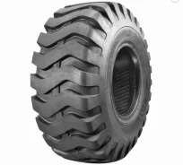 Roadhiker W-1. �����������, ����� ����