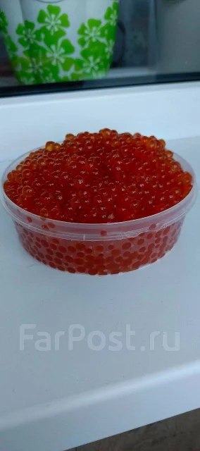 ���� ����. ����