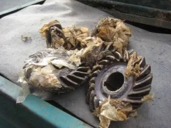 ������� ���� ��������� ����� ���-131 19/11 131-2402020-� ����