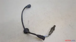 ������ ���� Ford Escape 2000-2006 20426004 5L8Z9F472BA ����