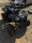Yamaha Grizzly. ��������, �� ����