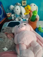 ������� ����
