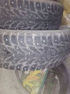 Nokian Hakkapeliitta 09. ������, ����������, 2022 ���, �/�, ����� �� 5 % ����