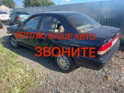 Nissan Sunny ����