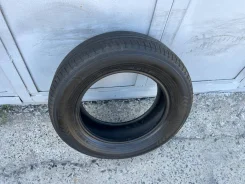 Zerious. ������, 2023 ���, �/�, ����� �� 5 % ����