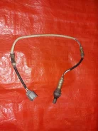 ������ ����������� Honda Stream 2005 36532PSA004 RN1 D17A ������ 36532PSA004 ����
