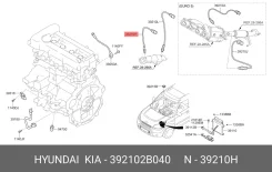 ������ ����������� Hyundai/Kia 39210-2B040 392102B040 ����