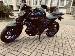 Yamaha MT-03. 320����. ��., ��������, ���������, ��� ������� ����