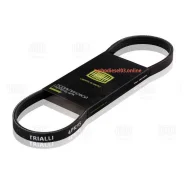 ������ ������������ Trialli 4PK920 4PK920 ����