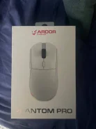 ���� �������. ����