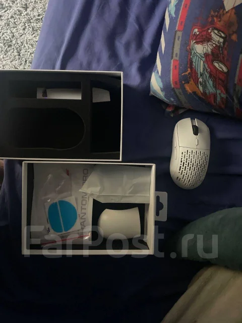 ���� �������. ����
