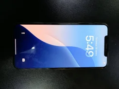 Apple iPhone Xs Max. �/�, 256 ��, ������ ����