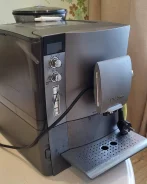 ����������. ����