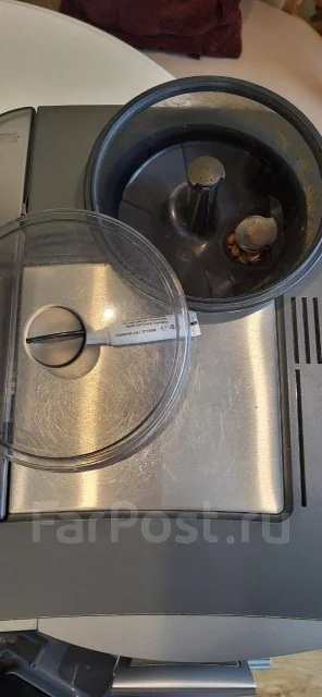 ����������. ����