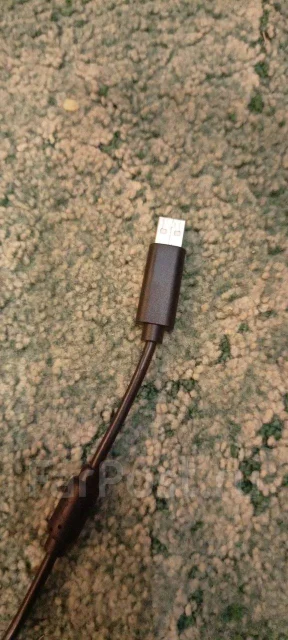 ����. ����