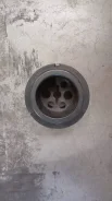 ������ �������������� CAT O. E. M. 1R-0777 1R0777 ����