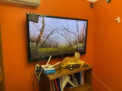 LG 50PJ250R. ������ ����