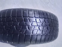 Firestone Winterhawk 2 EVO